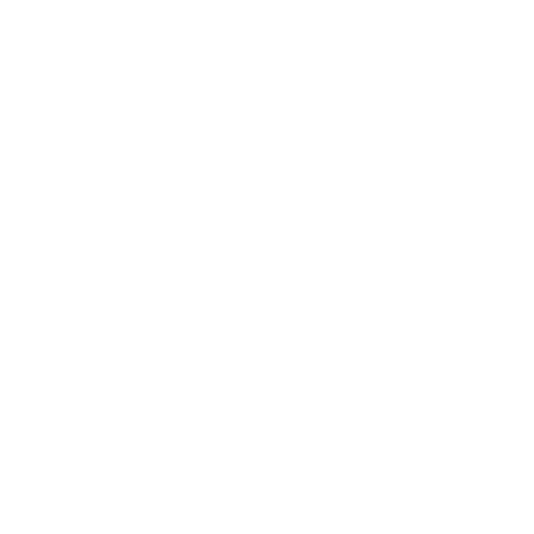 Holly Palm