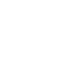 Holly Palm